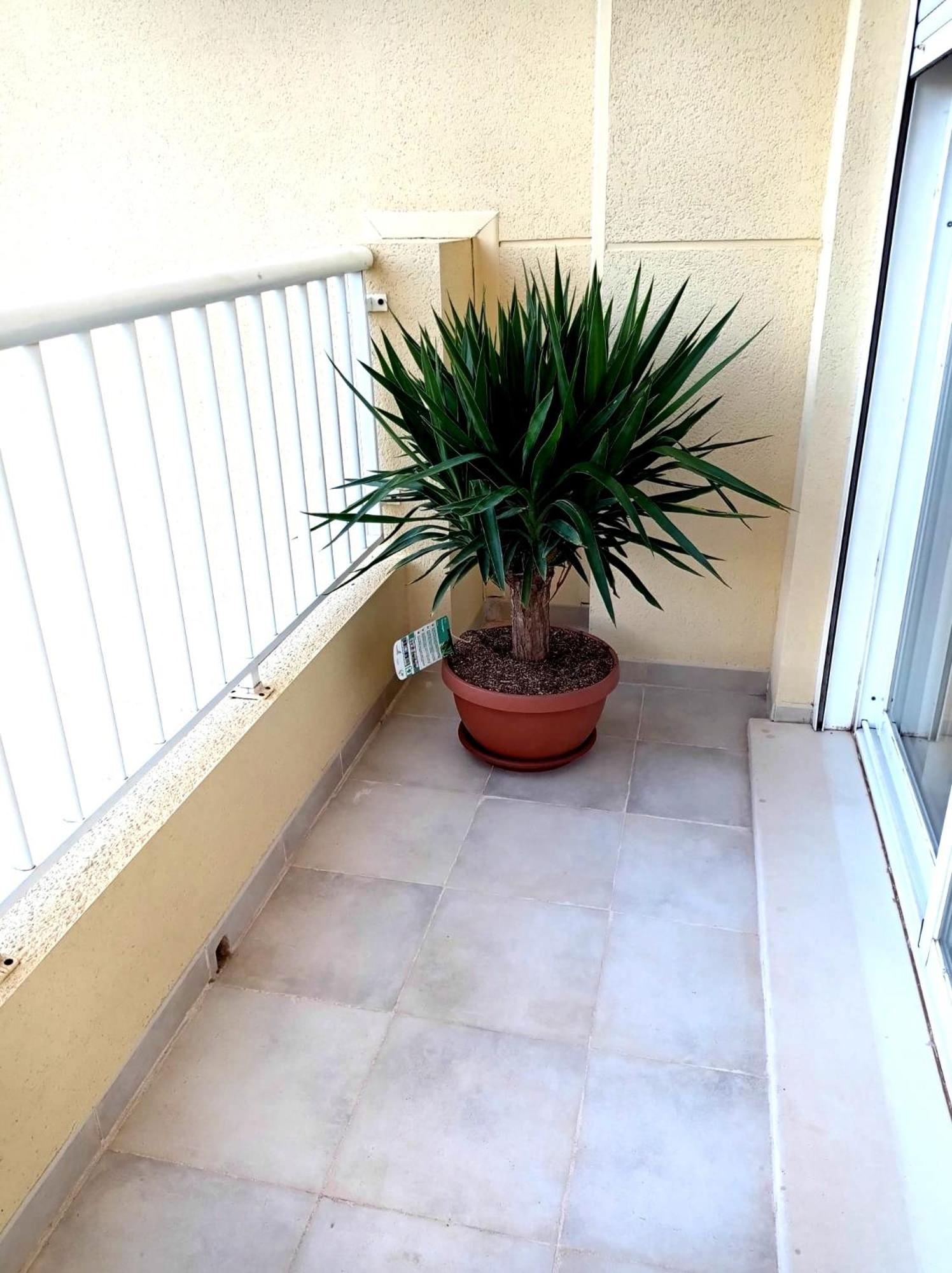 Apartamento Playasol Denia Exterior photo